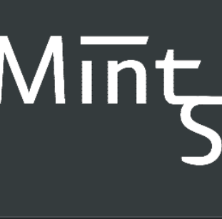 Mint Security logo