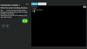 Veracode Security Labs - training module introduction to bash terminal