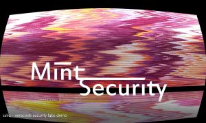 Mint Security Video