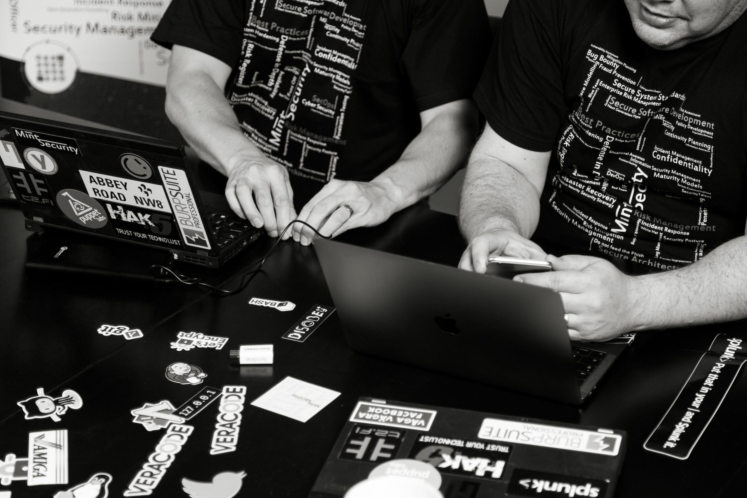 Mint Security - DDoS and resiliency testing